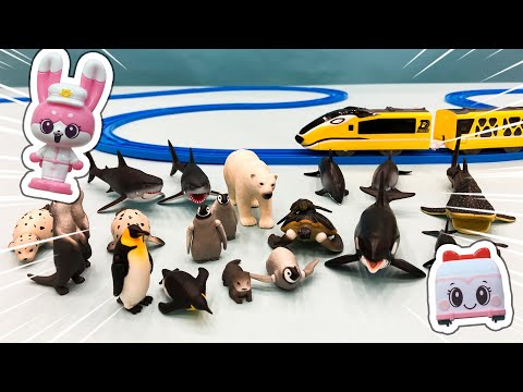 【プラレール】アニアで遊ぼう！海の生き物がたくさん！イマジネーションツアー！！｜びーくるずー｜動物【トミカ・プラレール・アニア】