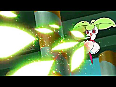 Pokemon Sun And Moon - Ep 38 - Suiren And Mao Vs. Kasumi - Hd - Silly Psyduck