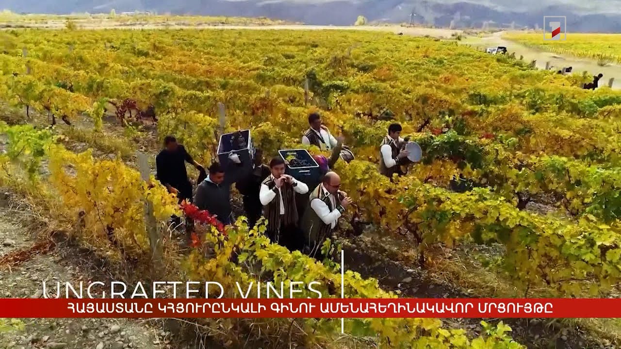 2026-ին Հայաստանը կհյուրընկալի գինու ամենահեղինակավոր միջազգային մրցույթը
