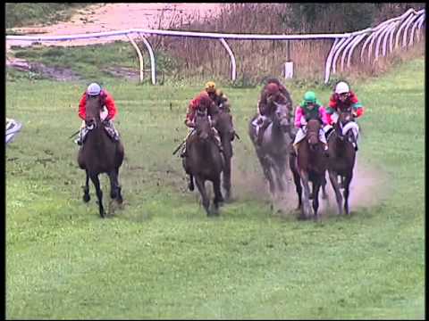 Galoppo 06/02/2015 - 1° corsa