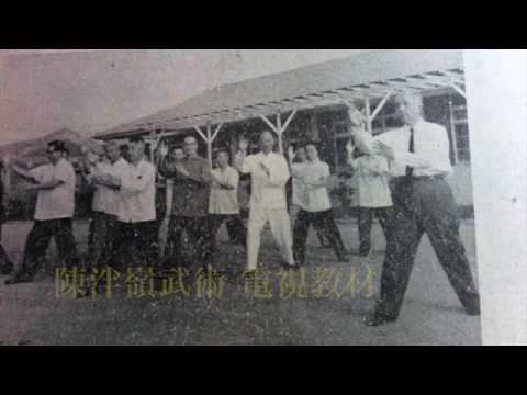 Chen Pan Ling 's martial arts video  99 taiji  quan