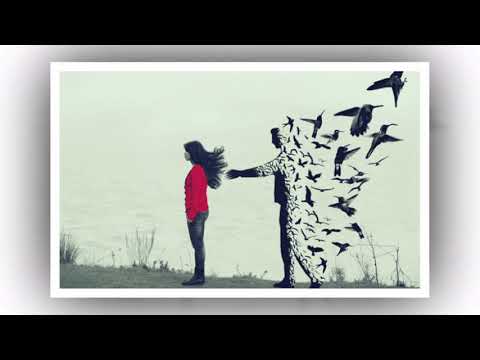 Bledi Selita - Dashuria me lendoi