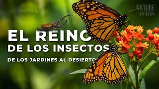 EL REINO DE LOS INSECTOS | La Vida Diminuta que Domina el Planeta - Documental Completo