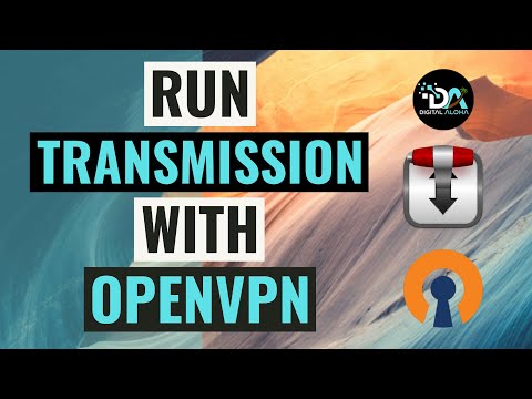Setup Transmission With OpenVPN Using Container Manager On A Synology NAS