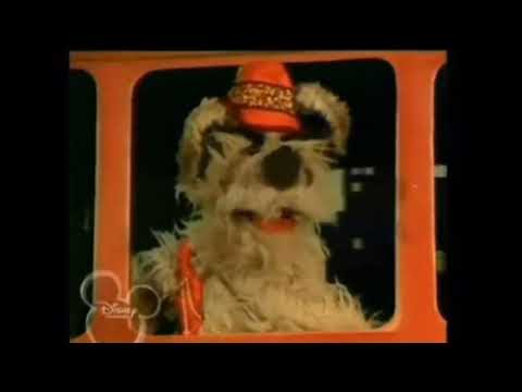 Puppet songs - the muppet dogs - maybe it’s because I’m a Londoner