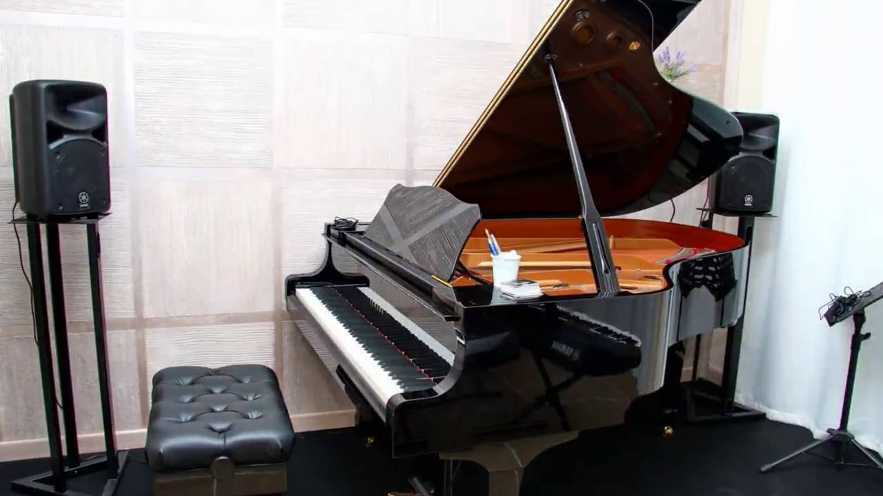 Accademia Musicale di Avezzano  -  Yamaha Music Point