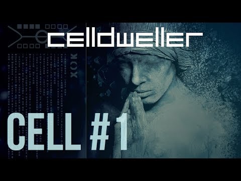 Cell #1