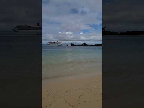 Thumbnail for Moreton Island Australia, Shipwreck snorkl #cruise #travel #australia #carnivalcruiseship #roadtrip