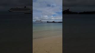 Moreton Island Australia, Shipwreck snorkl #cruise #travel #australia #carnivalcruiseship #roadtrip