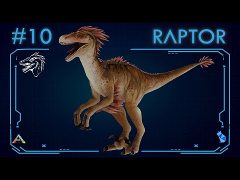 ALL ABOUT THE RAPTOR (#10) | ARK: Survival Evolved | The Island Dossiers |