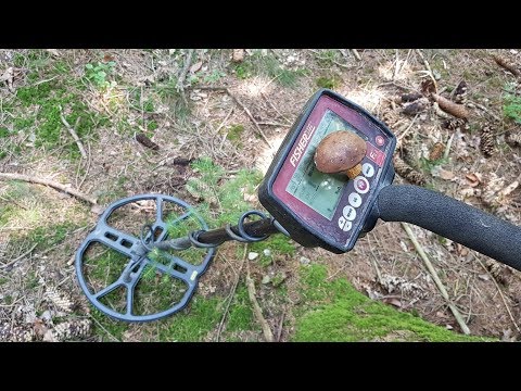 Der Bayern Sondler Teil 123 - Ebs und nix