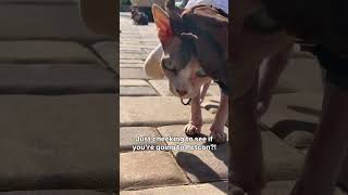 Miniature vidéo