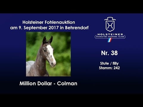 Nr. 38 v. Million Dollar - Colman