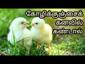 கோழிக்குஞ்சைக் கனவில் கண்டால் Kolikunjai Kanav