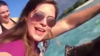 Top 200 Highlights of Animals VERY FUNNY ANIMALS