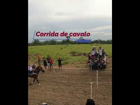 Corrida de Cavalo em Iracema #shorts #roraima #corrida  #amazonia #nature