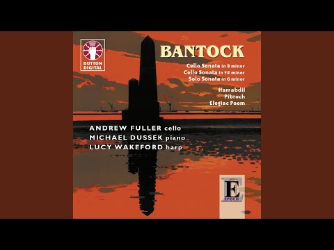 Elegiac Poem for Cello & Piano