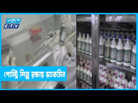 স্বল্প মূল্যে পোল্ট্রি শিল্প রক্ষায় ভ্যাকসিন