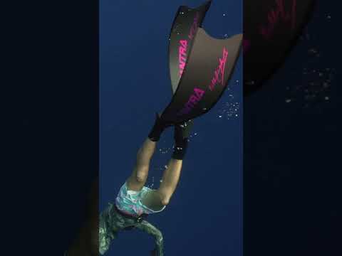 Spearfishing Yellowfin Tuna in Bali