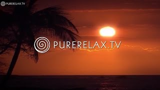 Nature Videos - Paradise, Ambient & Easy Listening - OCEANS