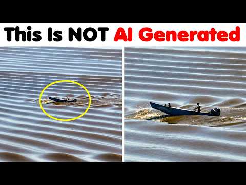 100% REAL Videos That Almost Look Fake