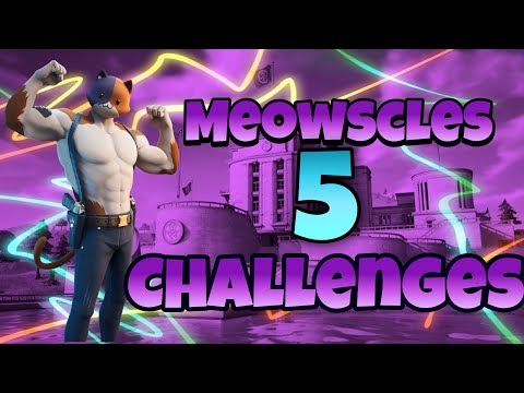 🐱 Full Guide Meowscles 5 challenges! ‼️😲