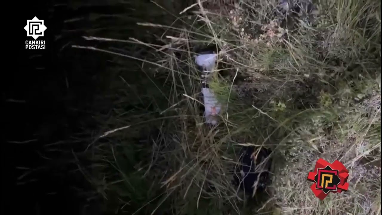 Çankırı’da kaçak avcılara DKMP’den gece operasyonu