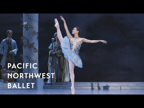 The Sleeping Beauty - Princess Florine variation from the Bluebird Pas de deux