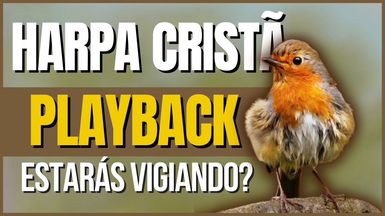 Estarás Vigiando playback