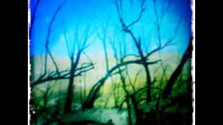 Gorillaz - The Joplin spider (Reverse)