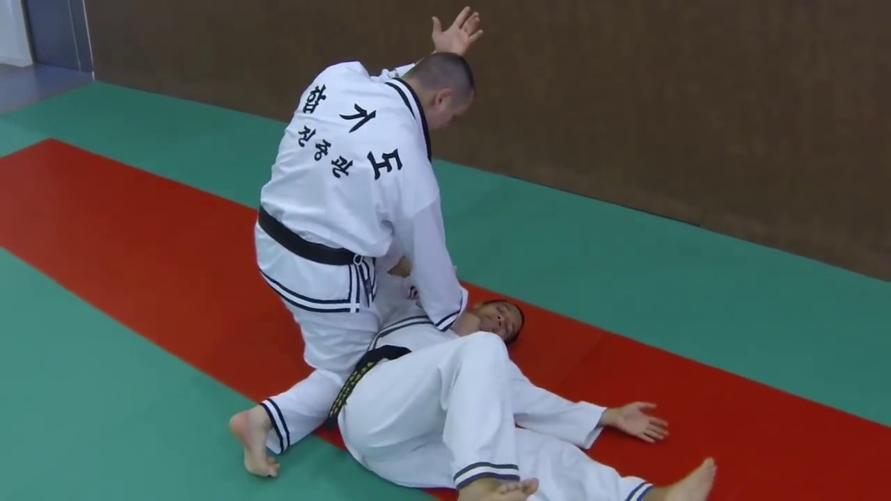 This Is Hapkido Jin Jung Kwan