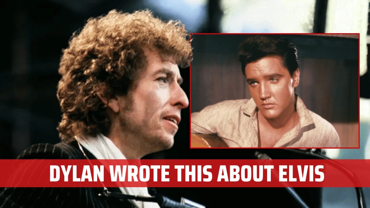 YouTube Thumbnail Downloader FULL HQ IMAGE