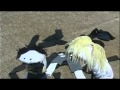 Sock Puppet Theater Noir The Unsoled Story