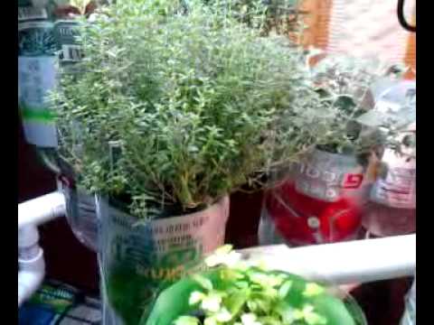 14-Chamber Ebb and Flow Hydroponic System Made for Under $40