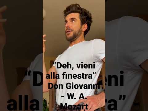 “Deh, vieni alla finestra” - aria Don Giovanni - W. A. Mozart #musikonnektion #nikolaivanov #mozart