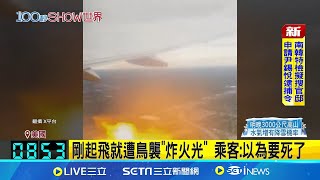 [問卦] 鳥擊基本上無法防範或避免嗎