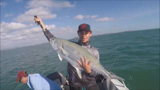 Headland Barra And Queenies