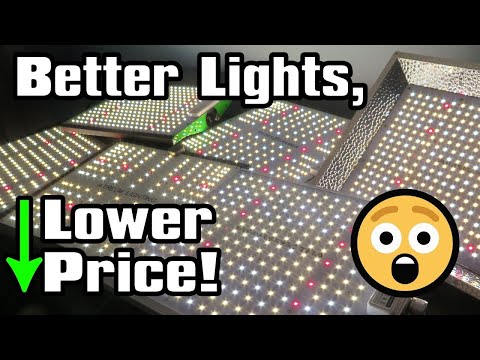 BudgetPremium LED Grow Light UPDATE! Atreum, ViparSpectra, Maxsisun, SpiderFarmer, MarsHydro Review