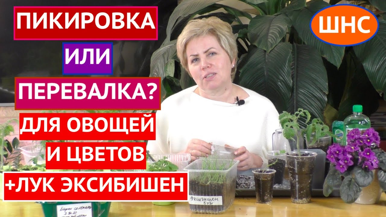 ПИКИРОВКА ИЛИ ПЕРЕВАЛКА? ЧТО ВЫБРАТЬ, КАК ПРОВОДИТЬ И ЗАЧЕМ ОНИ НУЖНЫЙ!