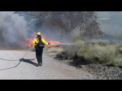 Ellie Brush Fire In Palmdale, CA