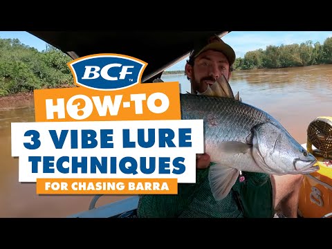 Barramundi Vibe Fishing - Retrieval Techniques
