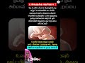 Amma ️ Mom The Most Important Person In Our Life Whatsapp Status Tamil Video Amma Mom Life