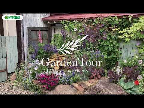  15 のトレンディなデザイン アイデアによる現代的な庭園とオリジナルの装飾  庭園