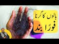 Hair Fall Treatment Baal Girna Band How To Stop Hair Loss Ko Kaise Rokien