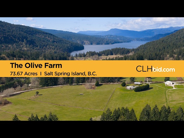 73.67 Acre Olive Farm For Sale - Salt Spring Island, BC - CLHbid in Land for Sale in Cowichan Valley / Duncan