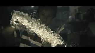 Video Donnie Darko - Live What You Love (Official Video)