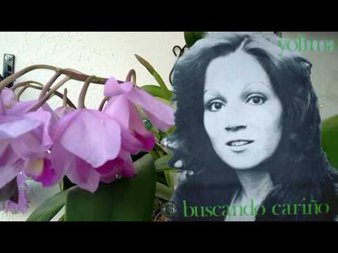 YOLIMA - BUSCANDO CARIÑO