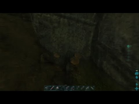 Trying to Tame a Megalosaurus and Everything going Wrong (Ark, Aberration)