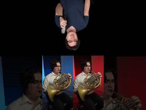 Why are there so many French Horns in Orchestras?