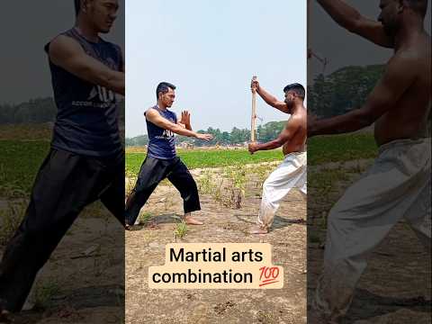 martial arts combination #motivation #trending #martialarts #kungfu #boxing #viral #shorts